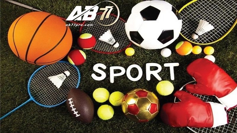 Giới thiệu khái quát về sảnh AG Sport AB77